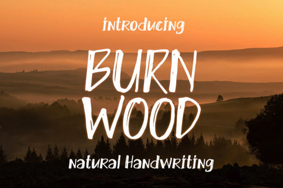 Why Burn Wood Stands Out as a Quirky Display Font for Modern Design